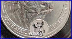 2023 South Africa Big Five Buffalo 1 oz Silver Coin BU in Capsule Cape Buffalo