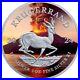 2024_1_Oz_999_Silver_South_Africa_Krugerrand_Volcano_Edition_Fire_Lava_Coin_01_sh