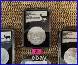 2024 S. Africa S1kr Silver Krugerrand Ngc Ms70 Pdp, 1 Gm Special Silver Label