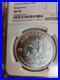 2024_South_Africa_1oz_Silver_Krugerrand_Coin_MS69_01_nmn