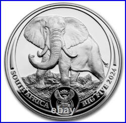 2024 South Africa Silver Proof 1 oz Two Coins Set Big 5 Series III Elephant