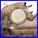 2025_BIG_FIVE_SERIES_lll_SOUTH_AFRICA_RHINO_1OZ_SILVER_COIN_SET_BU_with_COA_01_bc