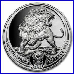 2025 South Africa 2-Coin Silver Big Five Lion Proof Set