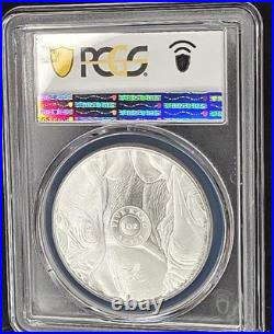 2025 South Africa Big Five Rhino 5 Rand 1 oz Silver PCGS MS70.999 Fine