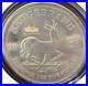 2025_South_Africa_Krugerrand_with_Tilawa_Privy_BU_1_oz_Recovered_Shipwreck_Silver_01_vrbu