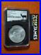 2025_South_Africa_Silver_Krugerrand_Ngc_Ms70_First_Day_Of_Production_1g_Ag_Label_01_sv