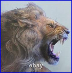 2025 THE BIG FIVE LION SERIES III1oz SILVER SOUTH AFRICA 5 RAND NGC MS70 COA OGP