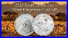 2026_South_Africa_1_Oz_Silver_Krugerrand_Coin_Bu_01_ndy