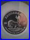 2026_South_Africa_5_Oz_Silver_Krugerrand_FDOI_NGC_PF70_Ultra_Cameo_RARE_BEAUTY_01_rna