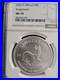 2026_South_Africa_Silver_Krugerrand_1_oz_NGC_MS70_Brown_Label_01_kz
