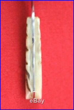 Arno Bernard Jr. Custom Gecko Fixed Blade Knife, Dahl Sheep Horn Handle, Mint