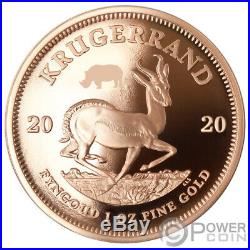 BIG FIVE Privy Rhino Krugerrand Set 2x1 Oz Gold Coins 51 Rand South Africa 2020