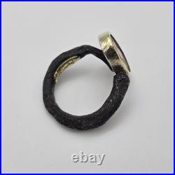 Bob Ebendorf South Africa Wildebeest Coin 14k Gold, Silver, Iron Ring 6.25