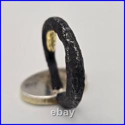 Bob Ebendorf South Africa Wildebeest Coin 14k Gold, Silver, Iron Ring 6.25