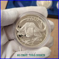 Buffalo 2001 South Africa Silver 4 Coin Proof Set 2 Oz 50c 3-3/4 Oz Total