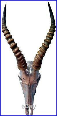 Deer Skull Silver Spray Painted African Blesbok Antelope Horns/Antelope Skull