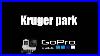 Kruger_Park_South_Africa_Gopro_Silver_4_Virtual_Trip_01_wwgp