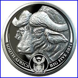 Krugerrand and Buffalo 2 silver proof coin set South Africa 2021