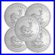 Lot_of_5_2020_South_Africa_Silver_Krugerrand_1_oz_Brilliant_Uncirculated_01_fam