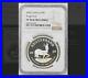 PF70_2020_SOUTH_AFRICA_SILVER_KRUGERRAND_PROOF_ngc_PF70_1_oz_S1KR_01_ouyk