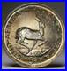 Rare_1954_South_Africa_5_Shillings_Silver_Matte_Proof_Strike_Coin_Springbok_1685_01_ow