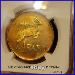 SEE VIDEO toning 1987 South Africa Silver 1 Rand NGC PF67 springbok GOLD toned