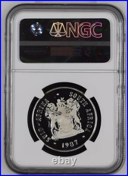 SEE VIDEO toning 1987 South Africa Silver 1 Rand NGC PF67 springbok GOLD toned