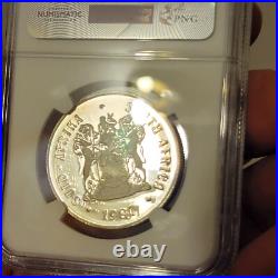 SEE VIDEO toning 1987 South Africa Silver 1 Rand NGC PF67 springbok GOLD toned