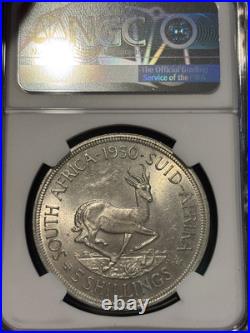 SOUTH AFRICA 5 Shillings 1950 Key Date 83,000, KGVI, NGC MS 63 CH UNC / BU. K6