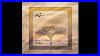 Silver_Panda_African_Original_MIX_01_yori