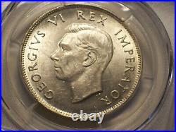 South Africa, 1942 George VI 2 1/2 Shillings, Half Crown, 1/2 Crown, PCGS MS 63