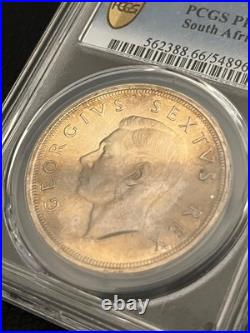 South Africa 1949 Silver 5 Shillings PCGS Proof-66 RARE! 