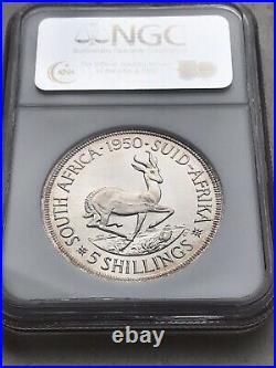 South Africa 1950 Proof 5 Shilling NGC PF 66 CAMEO Only 2 Graded Higher (67)