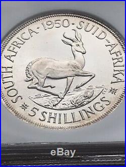 South Africa 1950 Proof 5 Shilling NGC PF 66 CAMEO Only 2 Graded Higher (67)