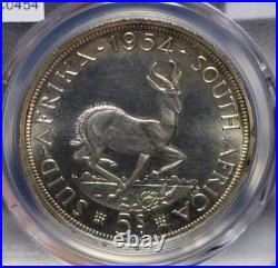 South Africa 1954 5 Shillings Springbok animal PCGS PR65CAM PROOF CAMEO G2U