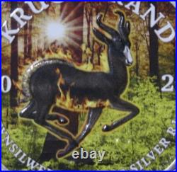 South Africa 1 Rand Krugerrand 2021 Silver 1 Oz #F5969 Magic Flame Only 250