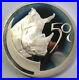 South_Africa_2003_African_Rhinoceros_2_27oz_Silver_Coin_Proof_01_uq