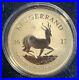 South_Africa_2017_1oz_fine_silver_Krugerrand_50th_anniversary_coin_Rev_Proof_01_xsk