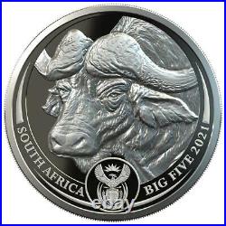 South Africa 2021 Big Five Buffalo Krugerrand Privy Set 2 x 1 oz Proof Silver