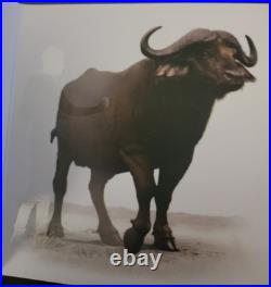 South Africa 2023 Cape Buffalo 1 oz Silver (. 999) 5 Rand, Limited Edition 20,000