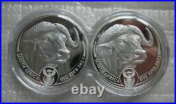 South Africa R5 2023 Silver Proof 1Oz Two Coins Set Big5 Series II Buffalo