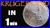 South_African_Krugerrand_1_Oz_Silver_Coin_01_jt