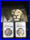 Two_NGC_PF70_2019_1_OZ_SOUTH_AFRICA_BIG_FIVE_Lion_999_SILVER_PROOF_COIN_01_xju